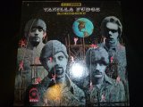 VANILLA FUDGE/RENAISSANCE