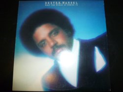 画像1: DEXTER WANSEL/WHAT THE WORLD IS COMING TO