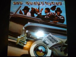 画像1: BLACKBYRDS/UNFINISHED BUSINESS