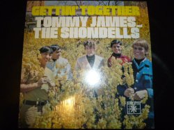 画像1: TOMMY JAMES &THE SHONDELLS/GETTIN' TOGETHER