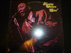 画像1: MUDDY WATERS/LIVE