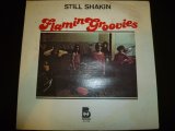 FLAMIN GROOVIES/STILL SHAKIN