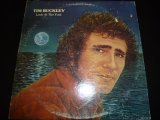 TIM BUCKLEY/LOOK AT THE FOOL