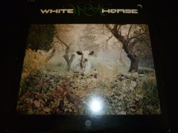 画像1: WHITE HORSE/SAME