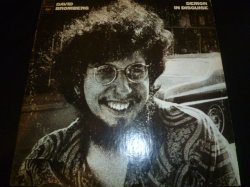 画像1: DAVID BROMBERG/DEMON IN DISGUISE