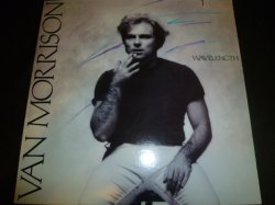 画像1: VAN MORRISON/WAVELENGTH