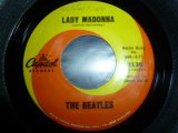 BEATLES/LADY MADONNA