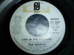 画像1: EBONYS/LIFE IN THE COUNTRY