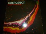 COUNT BUFFALOS/EMERGENCY