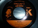 JAMES BROWN/WORLD