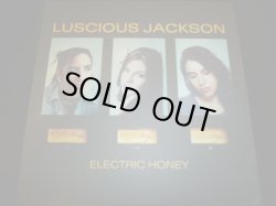 画像1: LUCIOUS JACKSON/ELECTRIC HONEY
