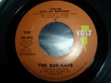 BAR-KAYS/YOU'RE STILL MY BROTHER