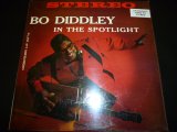 BO DIDDLEY/IN THE SPOTLIGHT