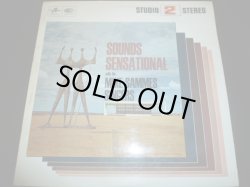 画像1: MIKE SAMMES SINGERS/SOUNDS SENSATIONAL