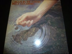 画像1: BRUCE COCKBURN/CIRCLES IN THE STREAM