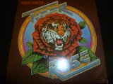 ROBERT HUNTER/TIGER ROSE