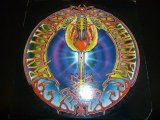 MICKEY HART/ROLLING THUNDER