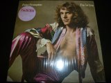 PETER FRAMPTON/I'M IN YOU