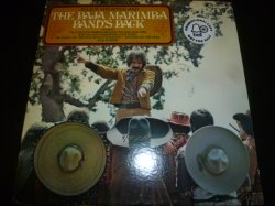 画像1: JULIUS WECHTER & THE BAJA MARIMBA BAND/BACK