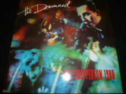 画像1: DAMNED/LIVE AT SHEPPERTON 1980