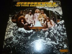 画像1: STEPPENWOLF/AT YOUR BIRTHDAY PARTY