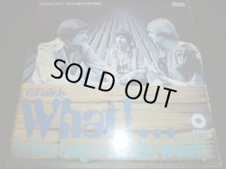 画像1: BRIAN AUGER & THE TRINITY/DEFINITELY WHAT !