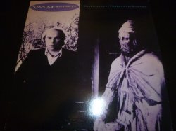 画像1: VAN MORRISON/NO GURU, NO METHOD, NO TEACHER