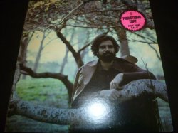 画像1: FELIX CAVALIERE/DESTINY