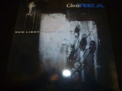 画像1: CHRIS REA/NEW LIGHT THROUGH OLD WINDOWS