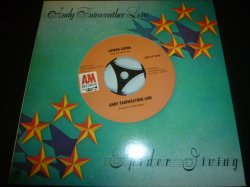 画像1: ANDY FAIRWEATHER LOW/SPIDER JIVING