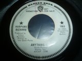 HARPERS BIZARRE/ANYTHING GOES
