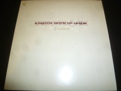 画像1: EARTH, WIND & FIRE/GRATITUDE