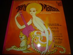 画像1: TONY MOTTOLA/WARM, WILD AND WONDERFUL