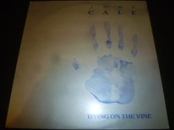 画像1: JOHN CALE/DYING ON THE VINE (12")