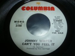 画像1: JOHNNY WINTER/CAN'T YOU FEEL IT