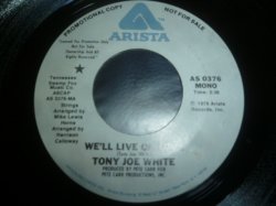 画像1: TONY JOE WHITE/WE'LL LIVE ON LOVE