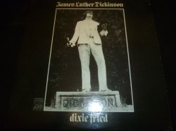 画像1: JAMES LUTHER DICKINSON/DIXIE FRIED