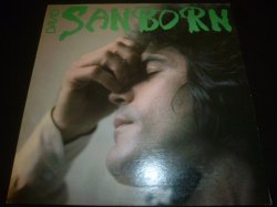 画像1: DAVID SANBORN/SANBORN