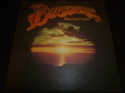 画像1: BUCKACRE/MORNING COMES