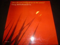 画像1: GARY McFARLAND & CO./DOES THE SUN REALLY SHINE ON THE MOON ?