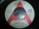 DONOVAN/WEAR YOUR LOVE LIKE HEAVEN