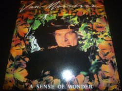 画像1: VAN MORRISON/A SENSE OF WONDER