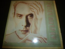 画像1: PETER MURPHY/LOVE HYSTERIA