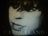 IAN McCULLOCH/CANDLELAND