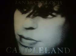 画像1: IAN McCULLOCH/CANDLELAND