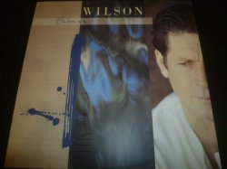 画像1: BRIAN WILSON/SAME