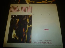 画像1: ELLIOTT MURPHY & CHRIS SPEDDING/LIVE AT HOT POINT