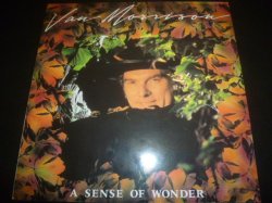 画像1: VAN MORRISON/A SENSE OF WONDER