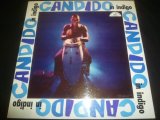 CANDIDO/IN INDIGO