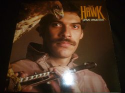 画像1: DAVE VALENTIN/THE HAWK